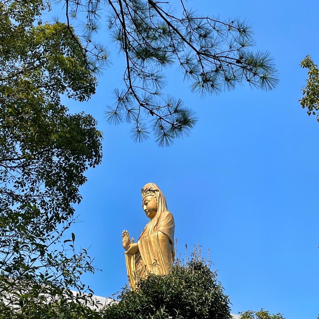 林广超.