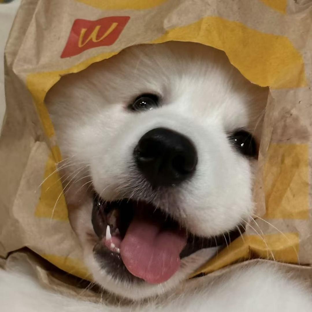 佛罗里达州凯文景长