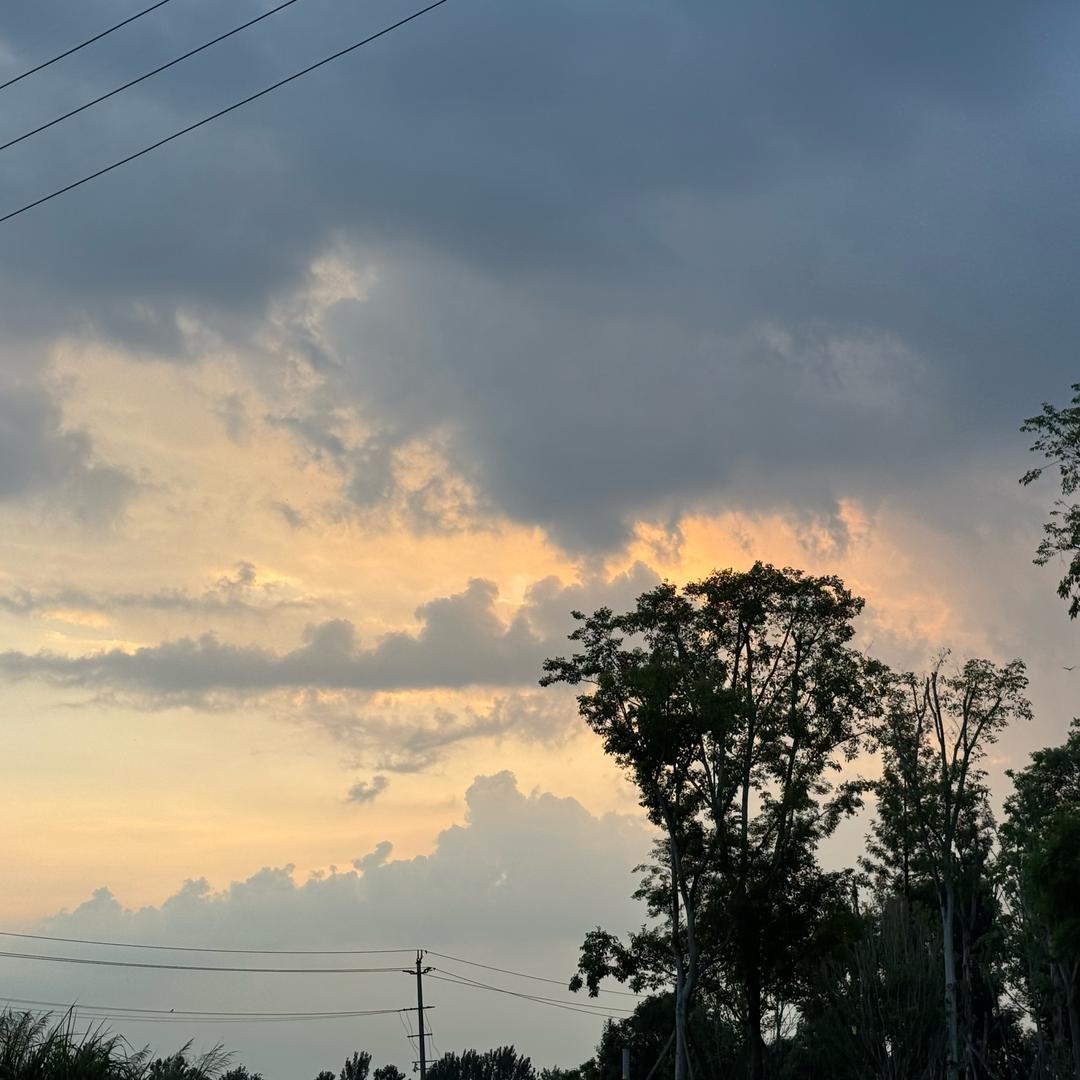 小窝不大但温暖