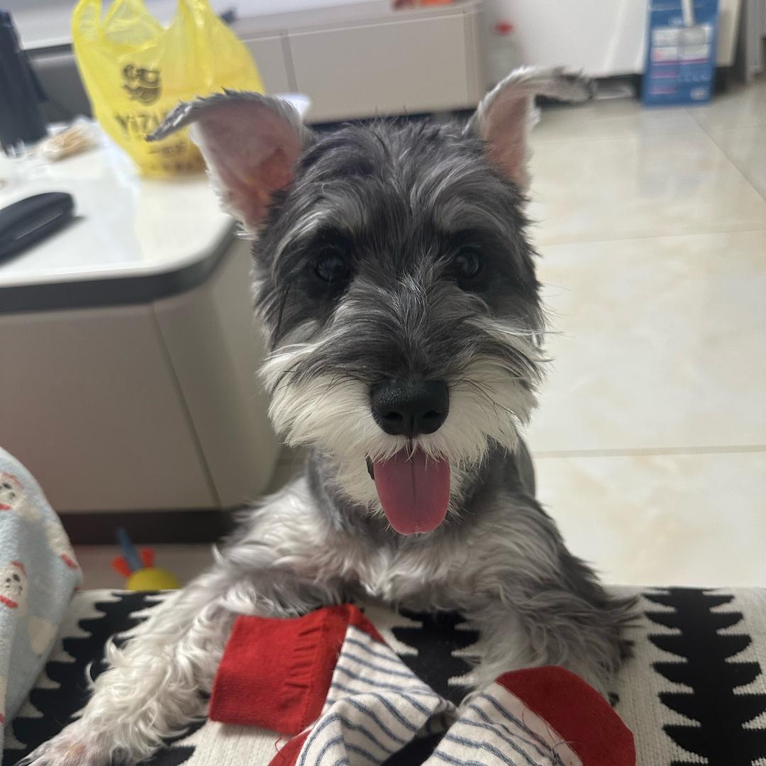 ee我叫莎莎
