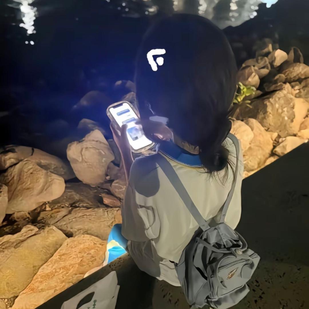 烫手🦋的冰🌸（冲1000）