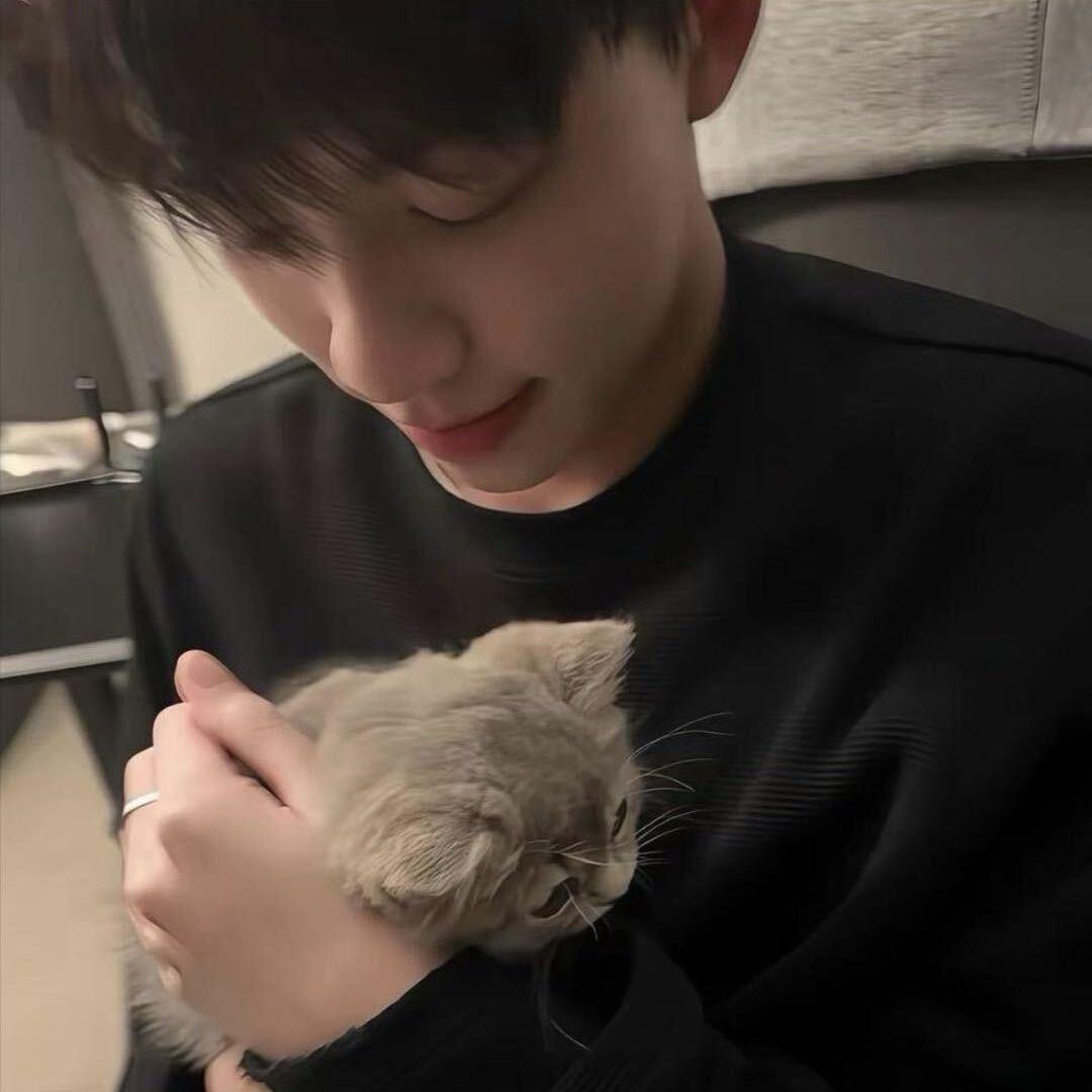 你是胡图图那我是谁