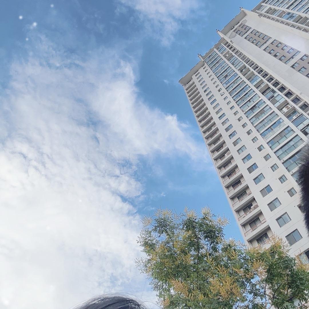 风 吹不走，风吹 不走