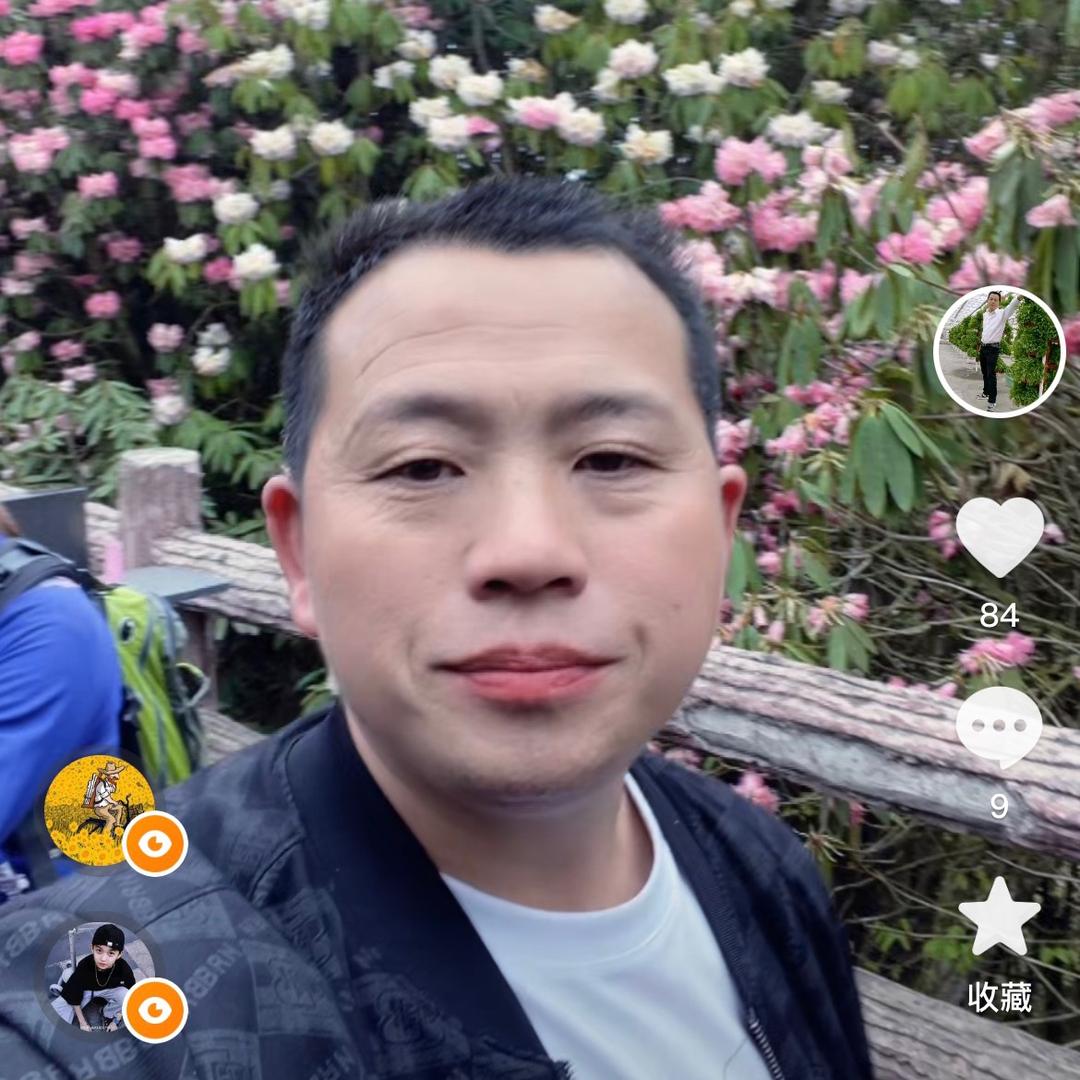 天天在外买小猪