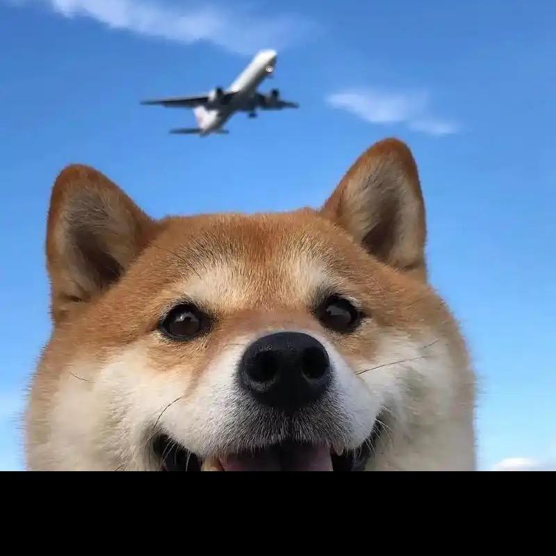 河南创泽八方电商