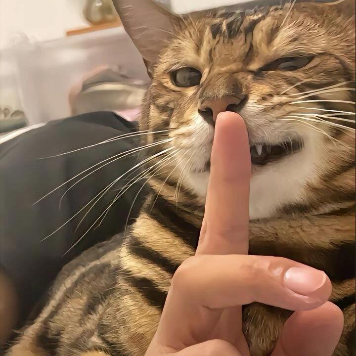 高.
