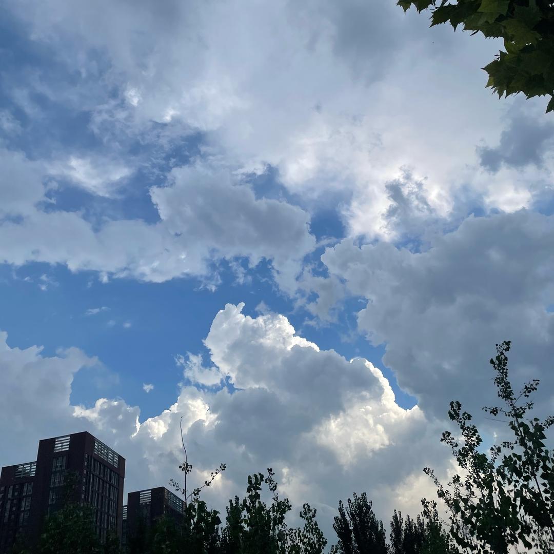 我的小凯