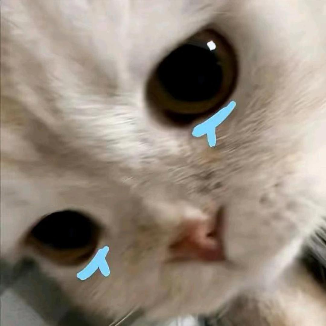 小᳐🐟大王᳐