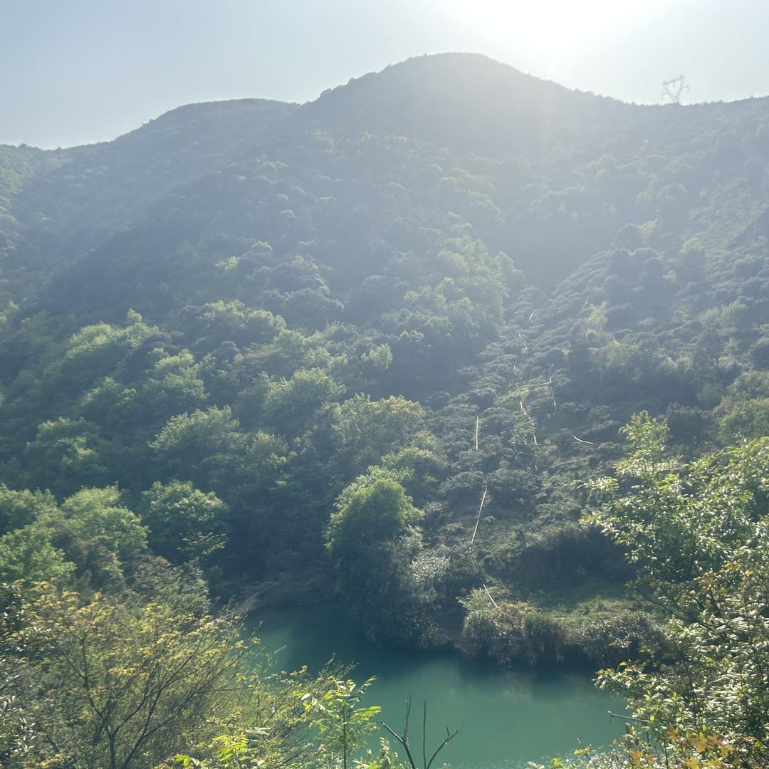 等等爱钓鱼