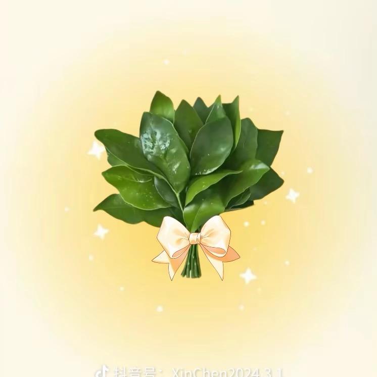 A🌸七月