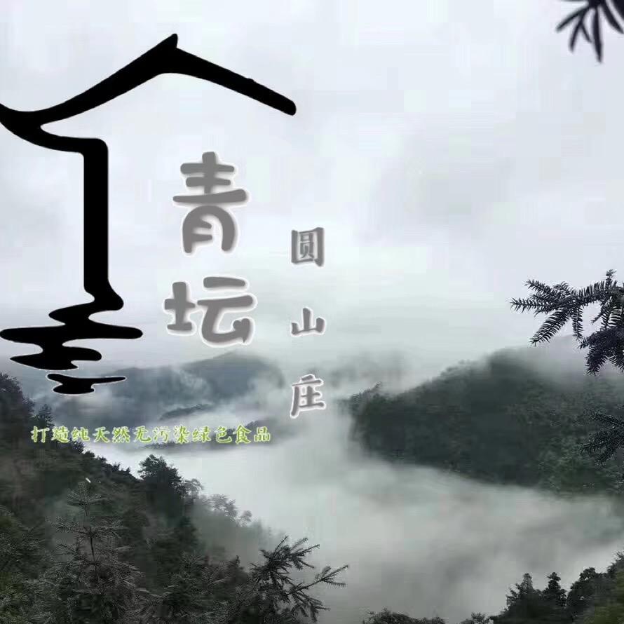 MJ桥哥
