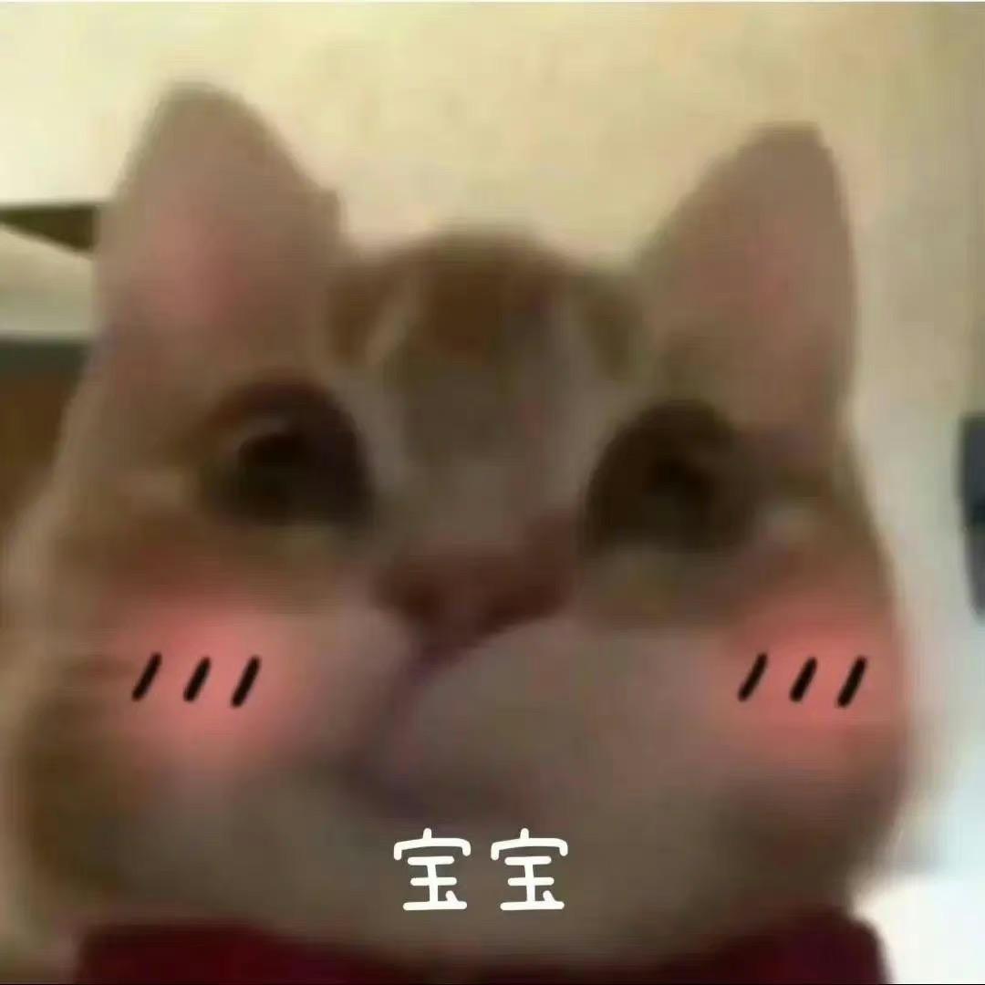 龙醒醒🍀