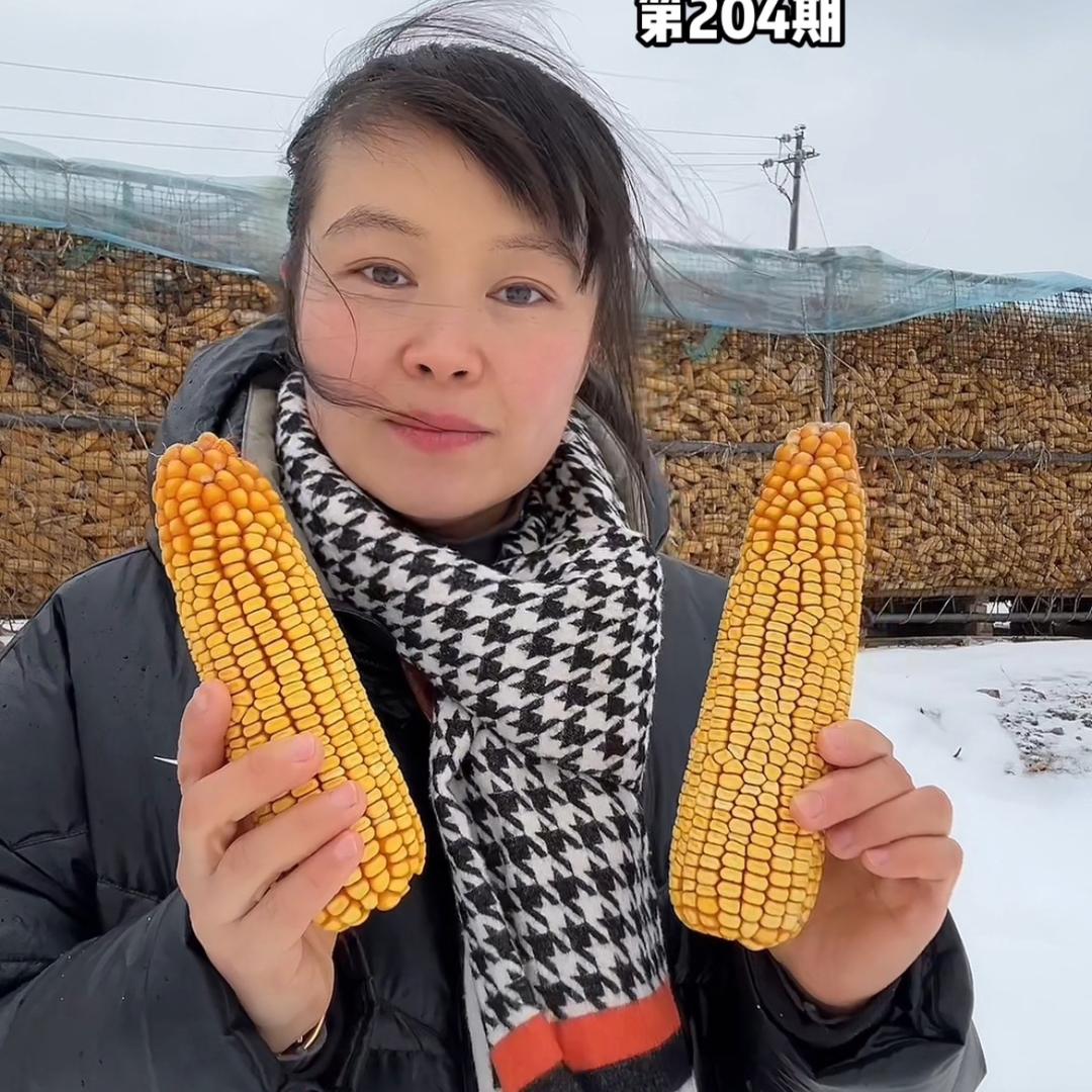 延津四季丰农资