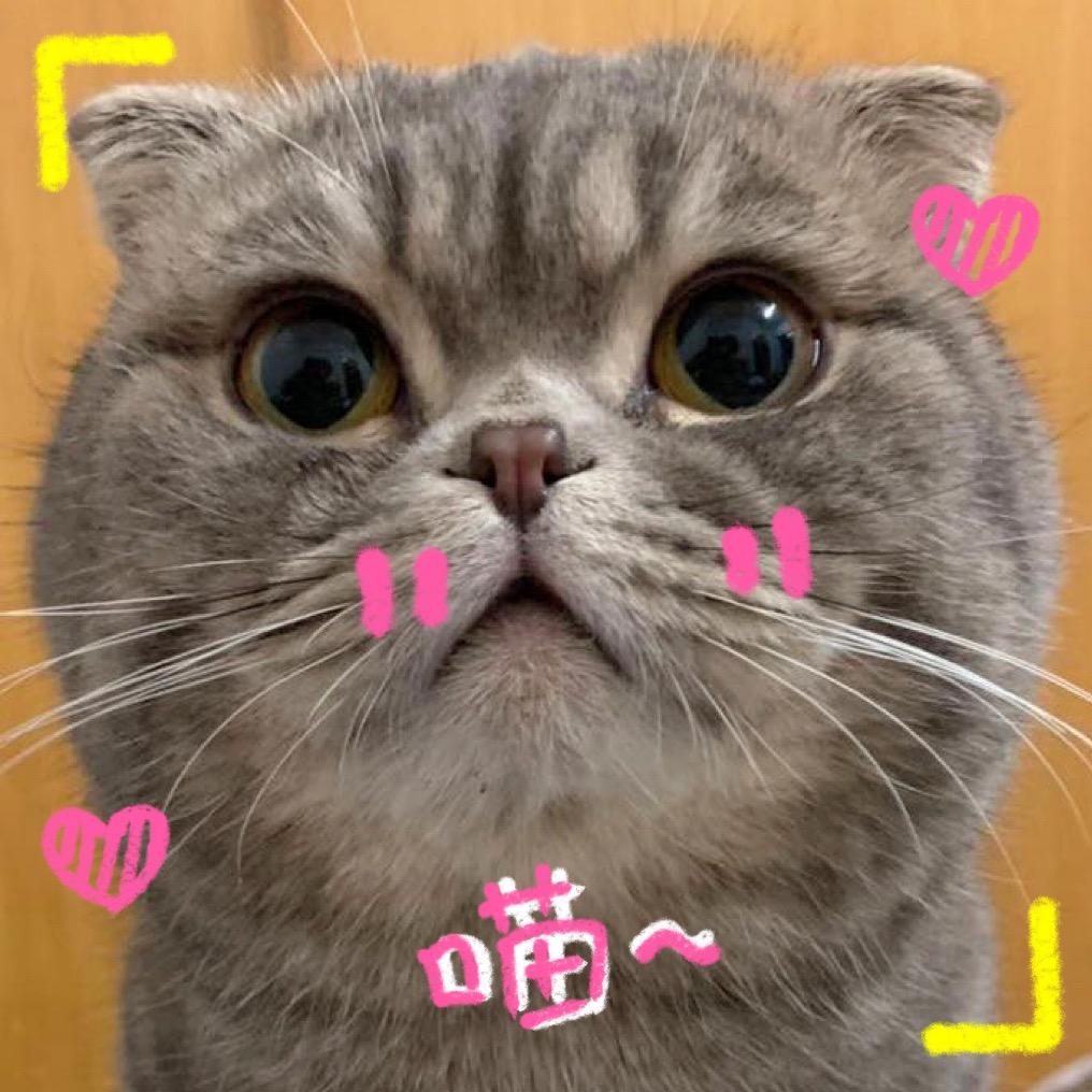 喵呜拆卡