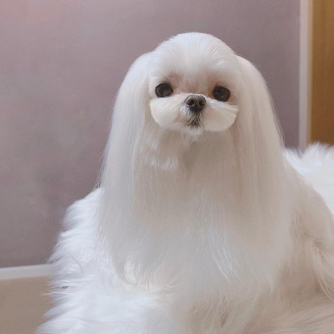 果·.小妖🍬