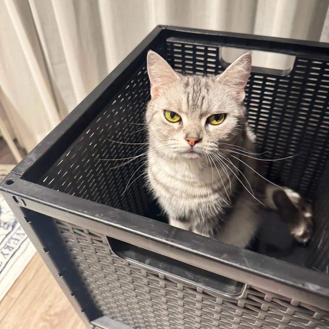 意定要发财