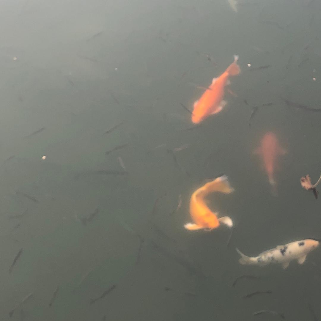一把土紫砂艺术