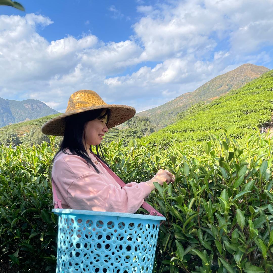 潮汕佳韵