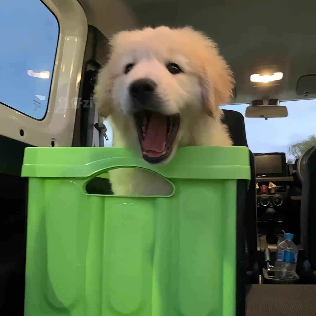 喝口水