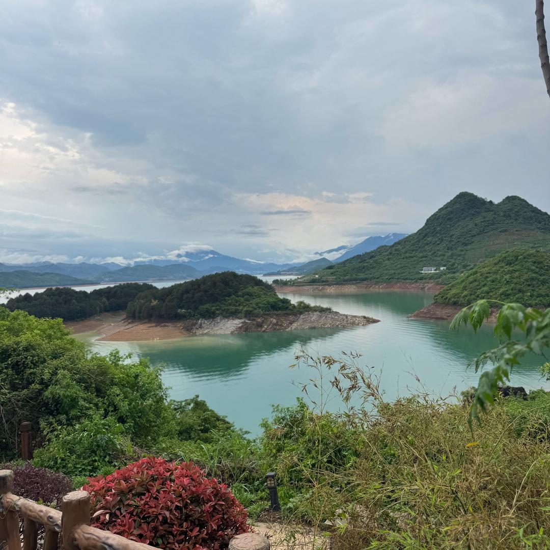 学霸工程师的万能生活