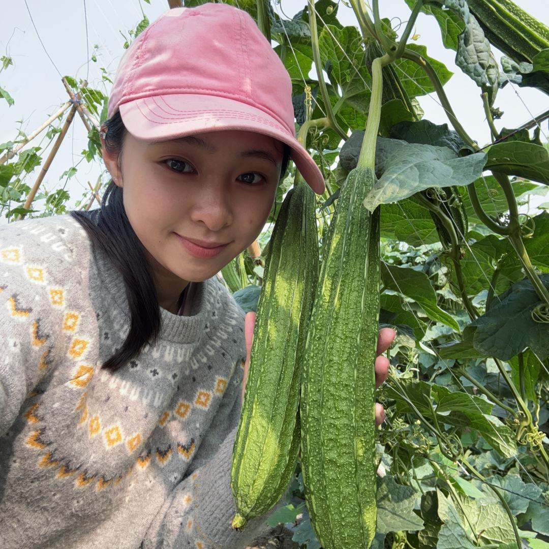 小猪（三孩宝妈家）