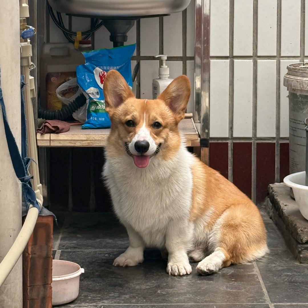江富贵