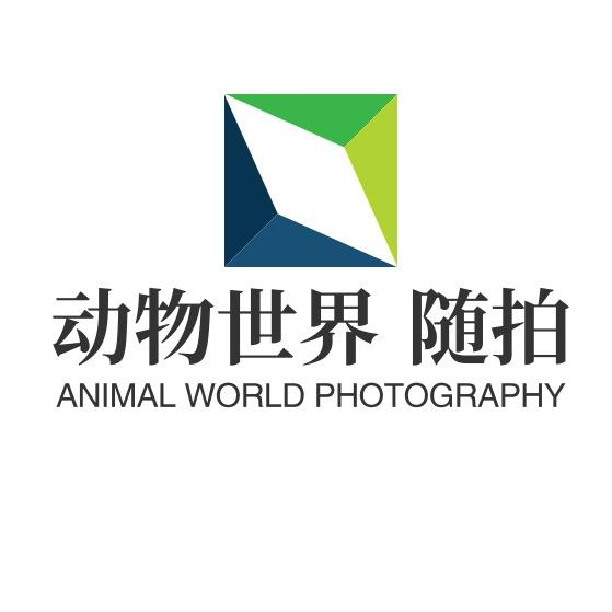 动物世界 随拍