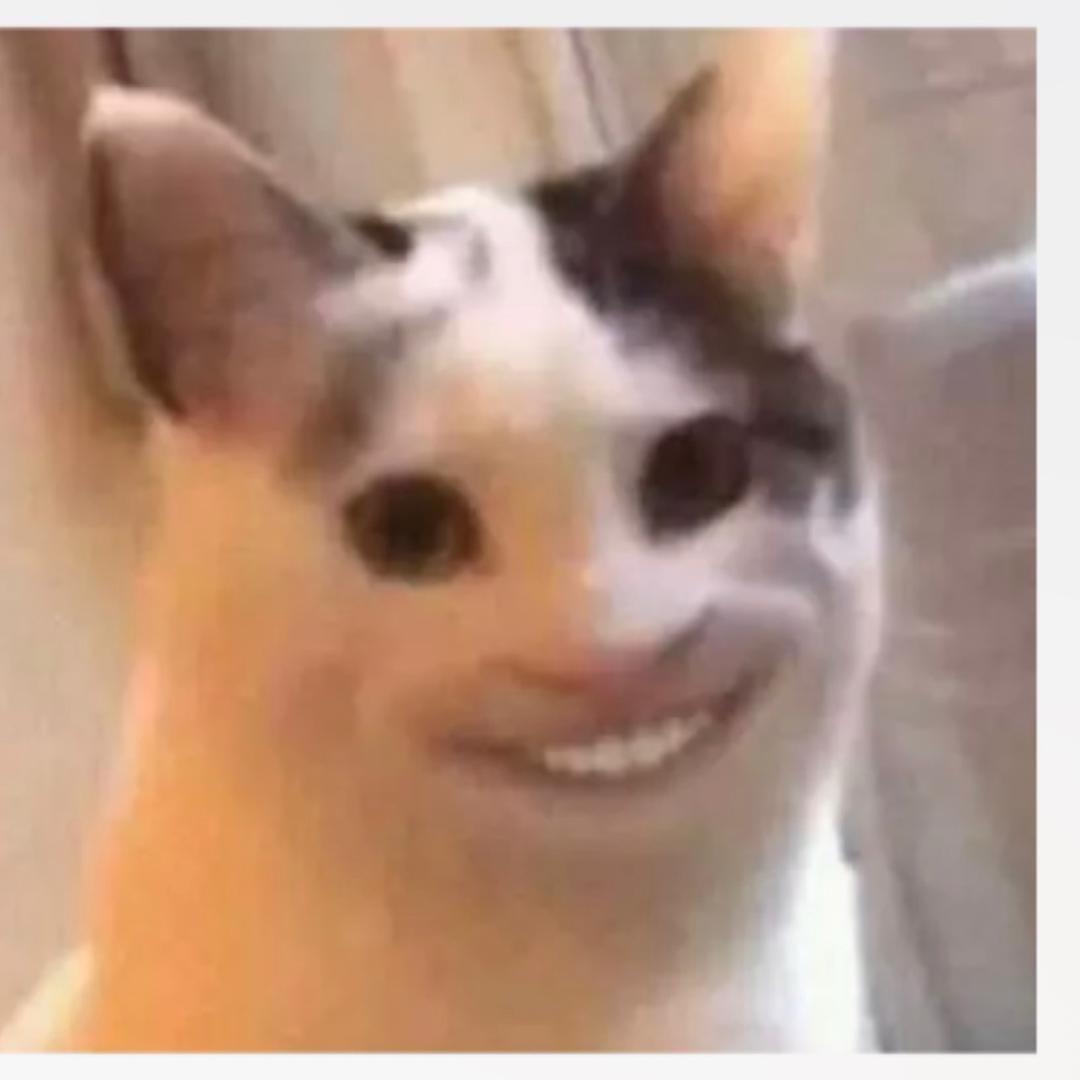 mSy