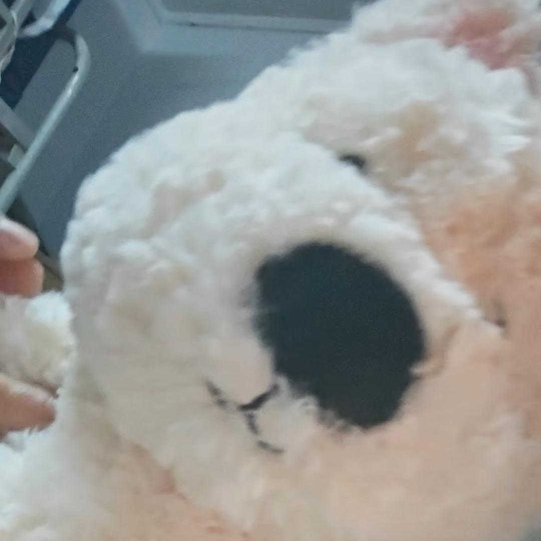 葵花