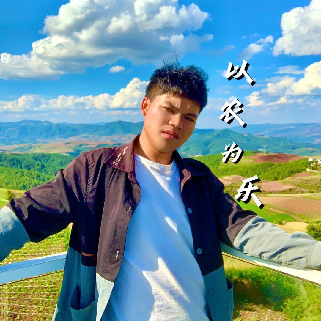 飞飞 三只爪爪