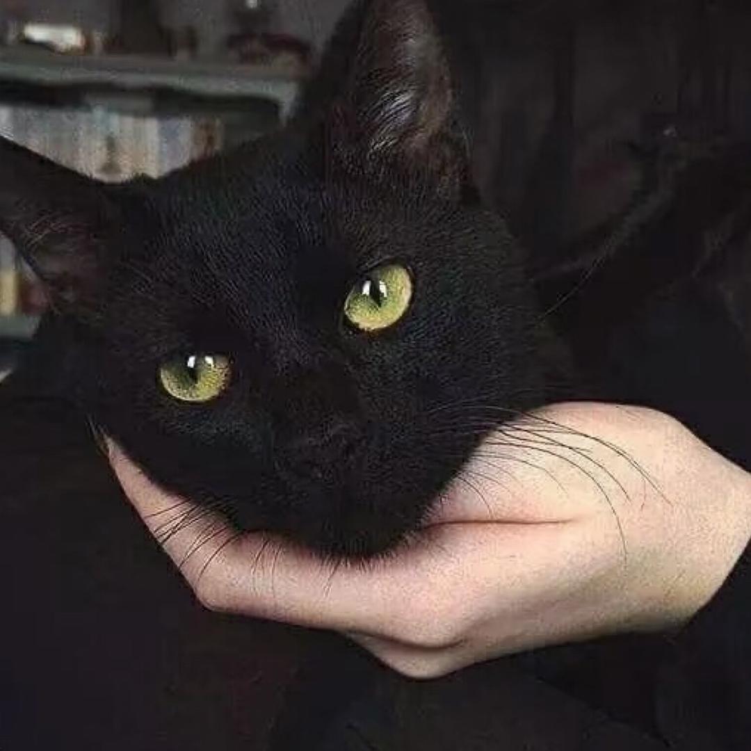 🌈壮壮