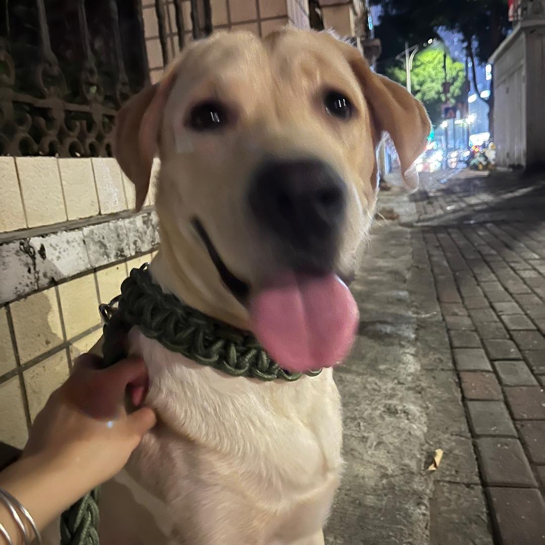 经常被男人骗那女的