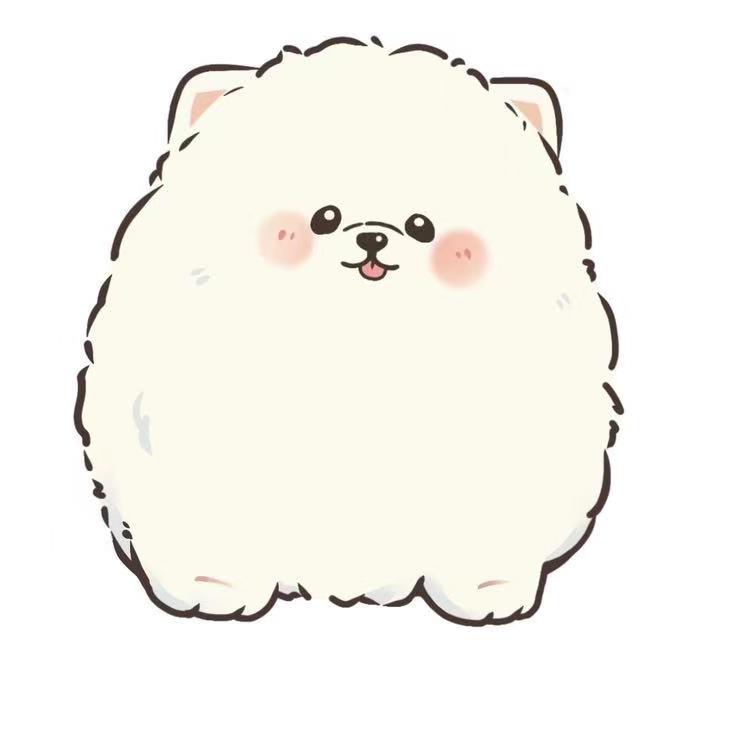 团团是狗不是猫