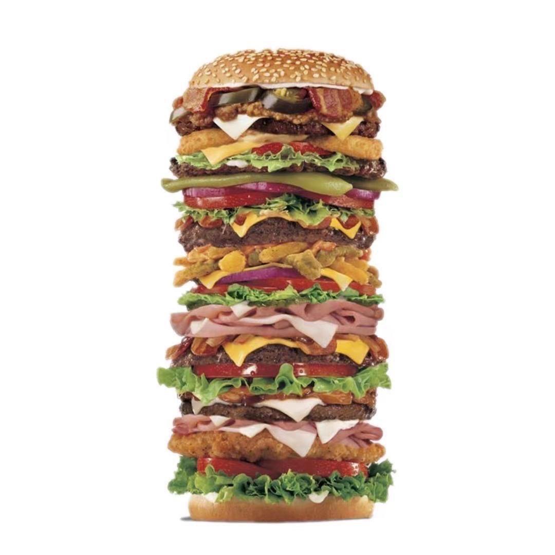 爱吃小汉堡🍔（天选）