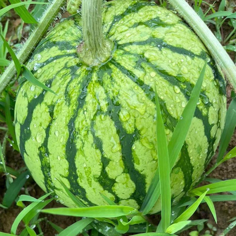 懂事长不懂事
