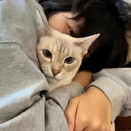 承诺