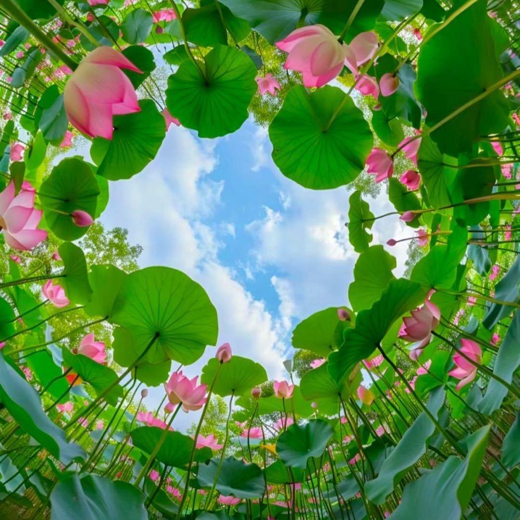 精雀贵阳玲姐