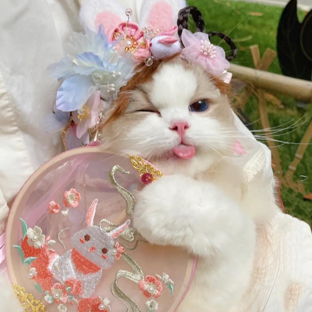 猪猪中古玩具屋