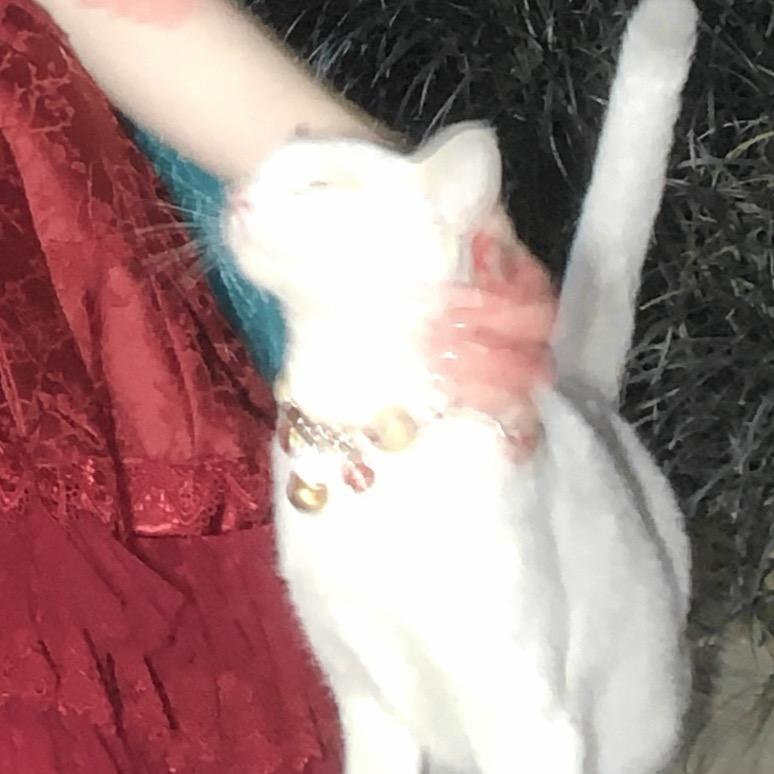西西西西西西子