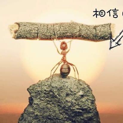励志哥.