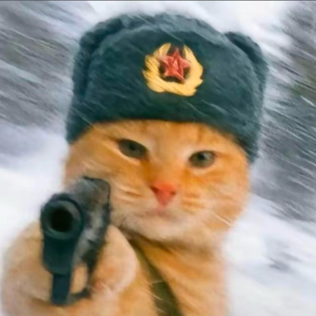 不好玩去奥格