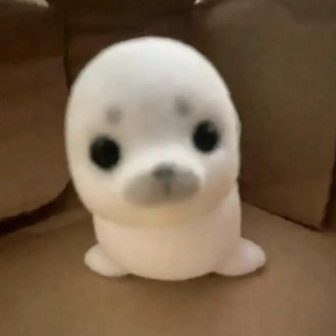 萝卜丝莹莹