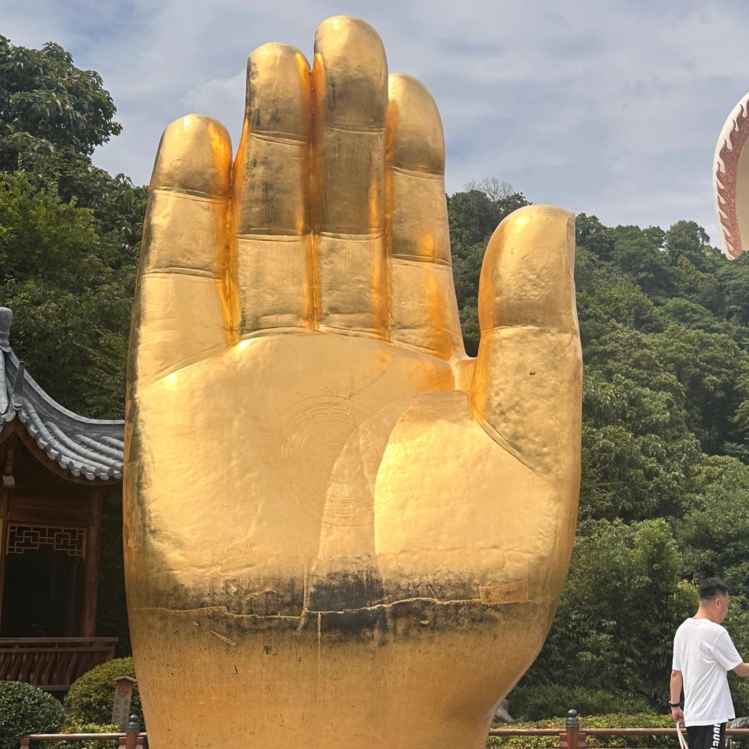 一只空碗🤗