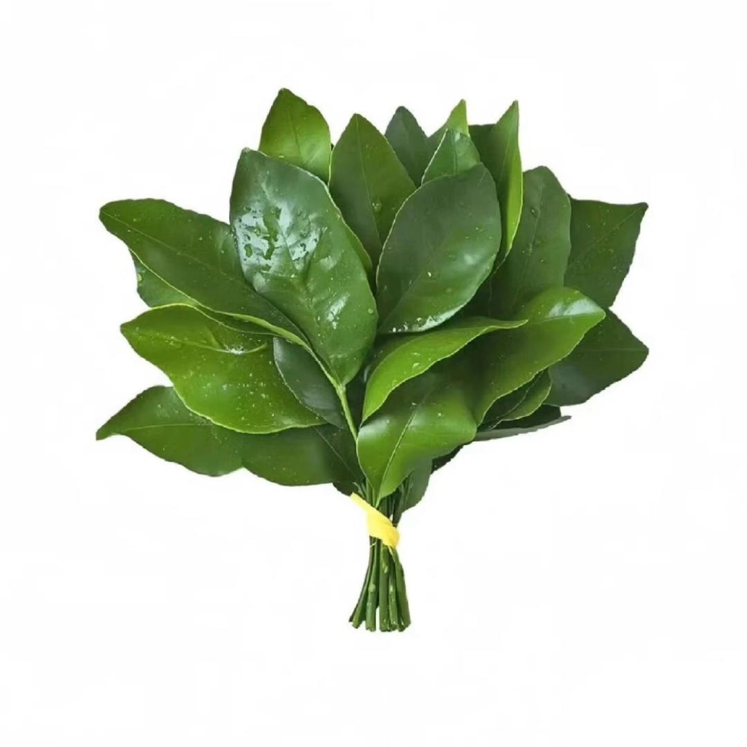 小辣