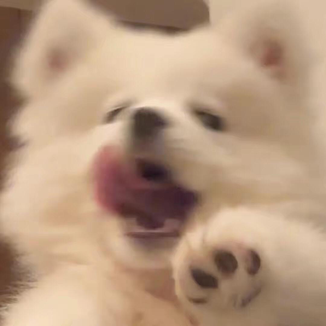 郭什么鑫