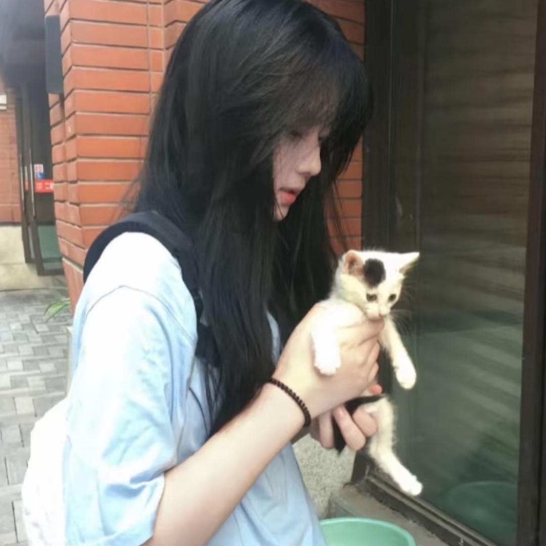 森活鱼块