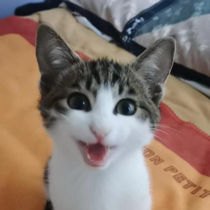 小甜甜橙汁