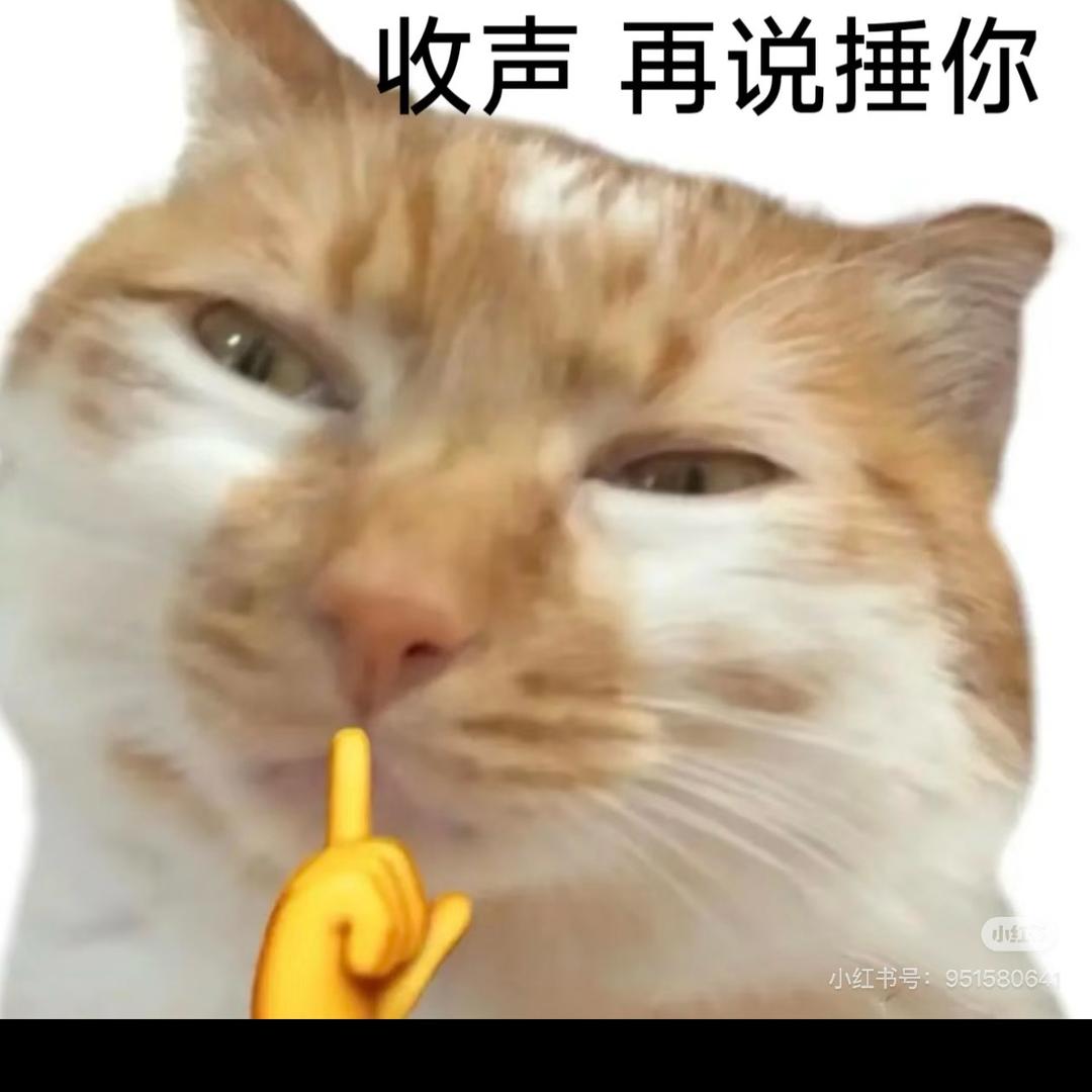 大龄夫妻勇闯日本留学日记