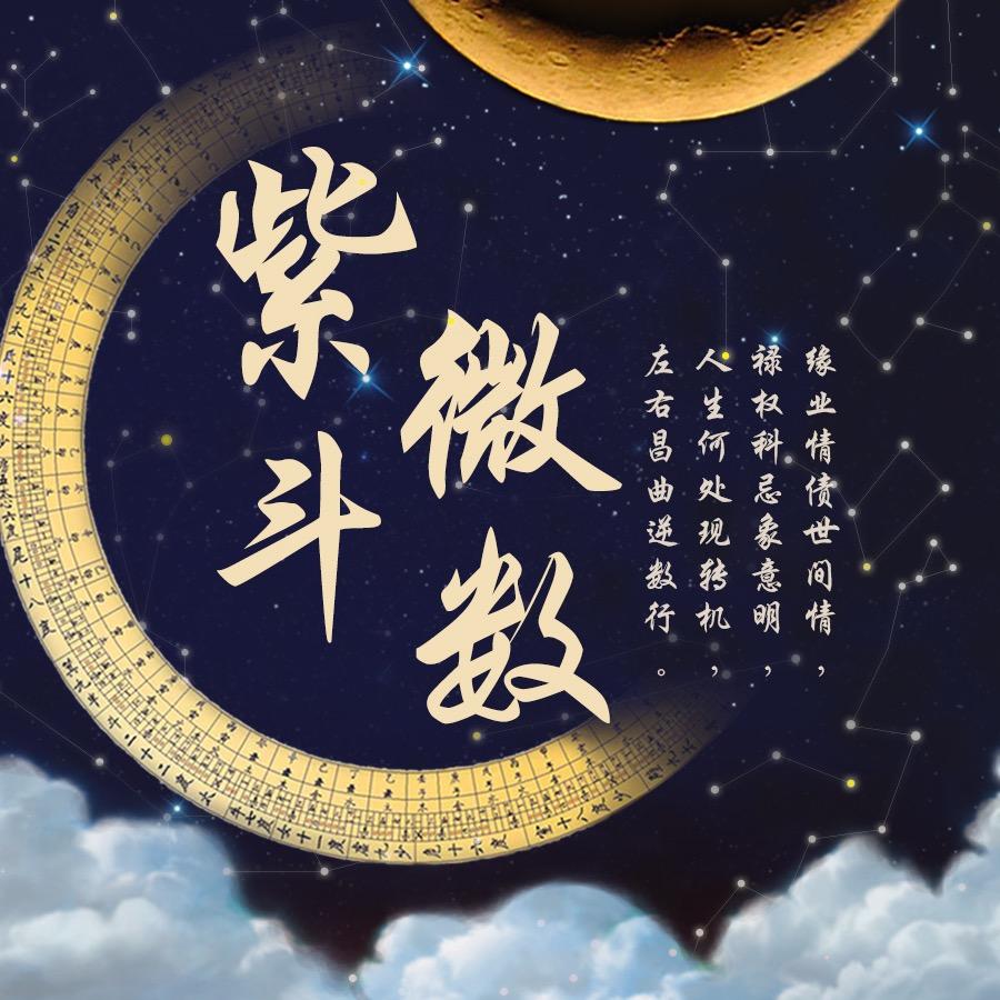 紫薇斗数依书直说