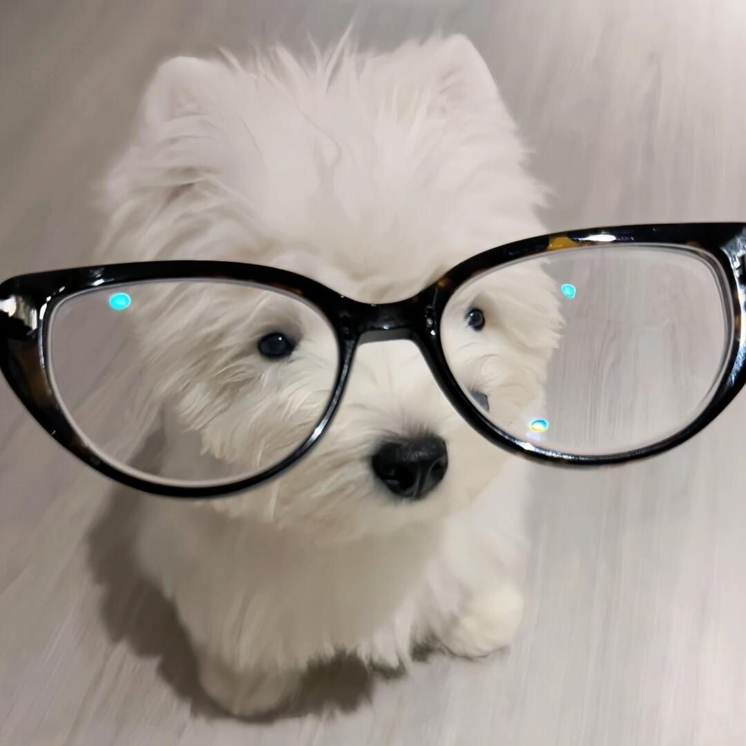 零海云